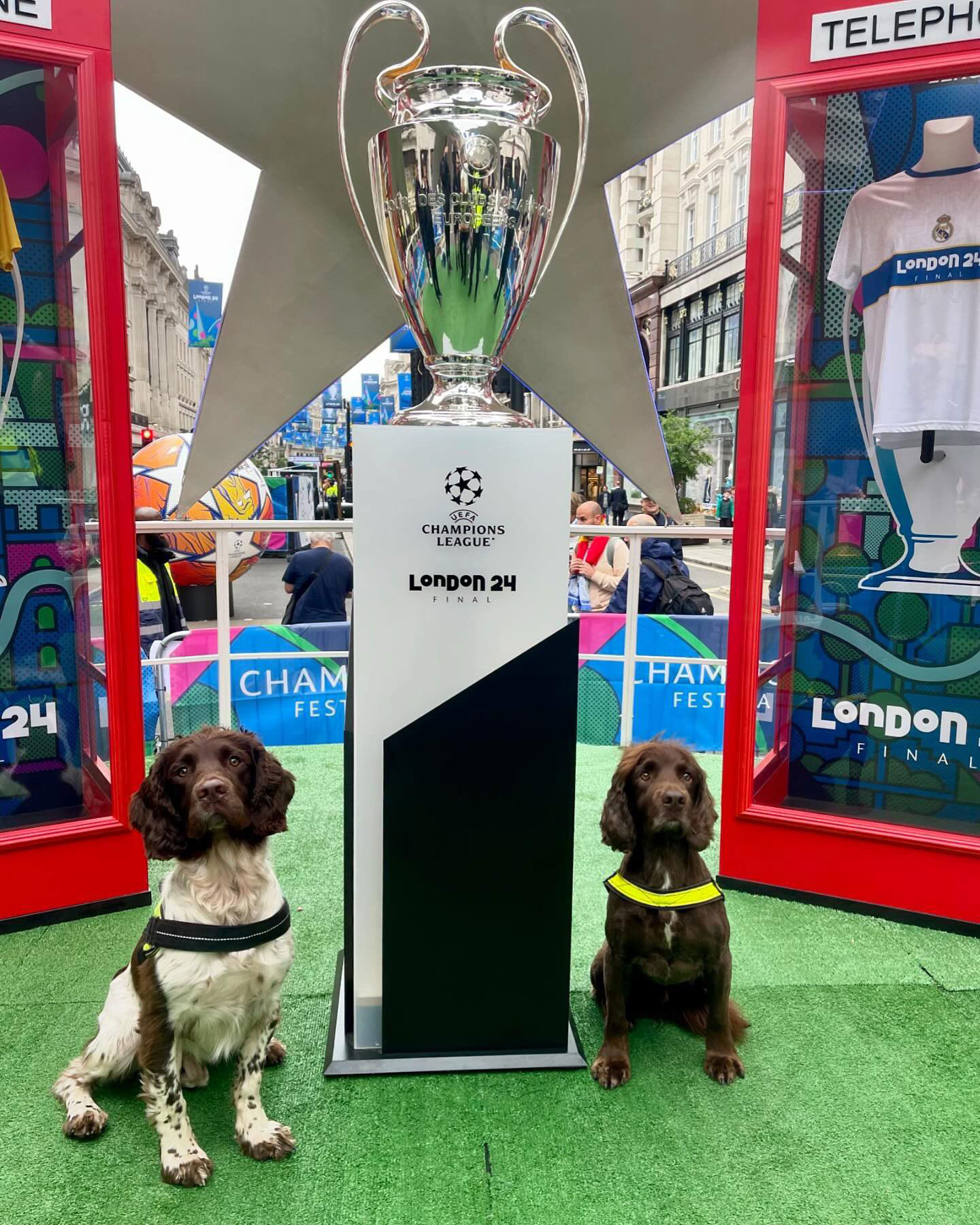 UEFA Champions League Festivals